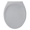 Armitage Shanks Astra Top Fix WC Toilet Seat And Cover - Heavy Duty