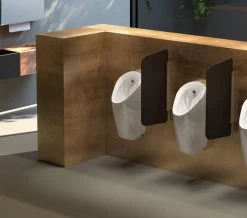 Geberit 432 X 754mm Glass Urinal Division Anthracite