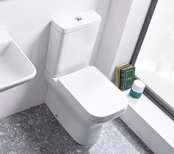 Tavistock Structure Comfort Height White Pan And Cistern