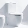 Roca Meridian-N White Comfort Height Close Coupled WC Pan And Cistern