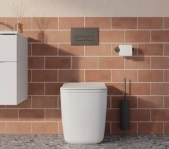 Crosswater MPRO Flush Plate