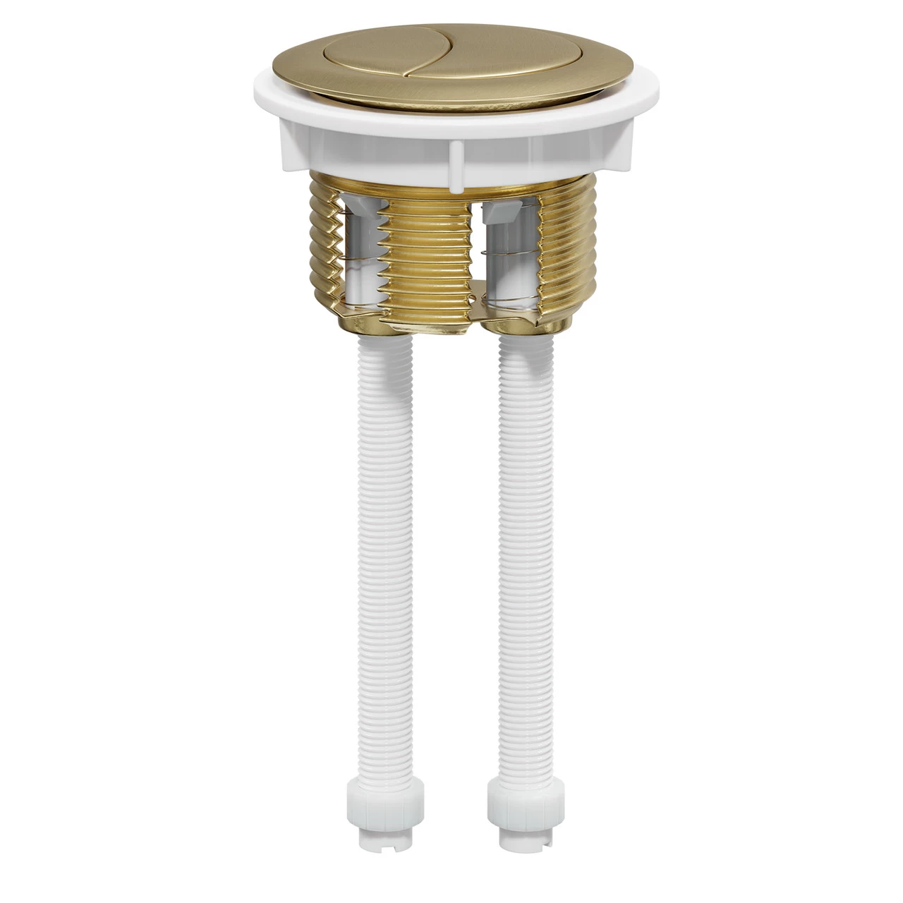 Colore Round Brushed Brass 48mm Dual Flush Push Button - Image 2